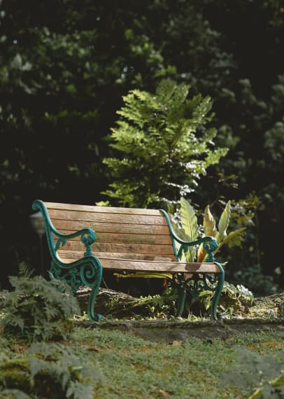 Bench
